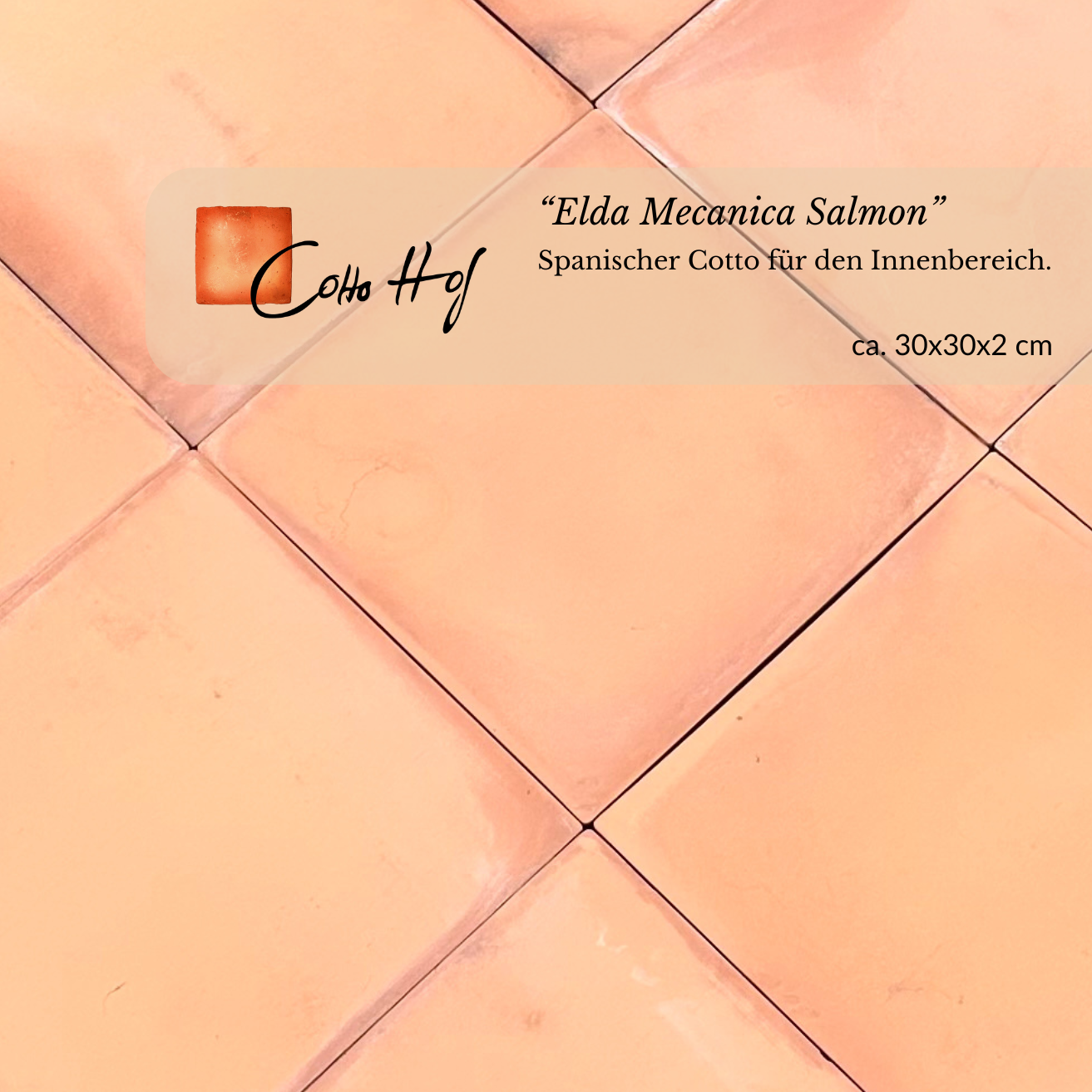 Elda Mecanica Salmon