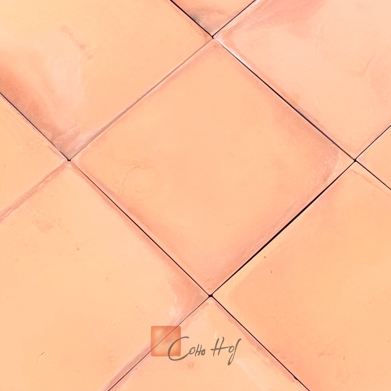 Elda Mecanica Salmon