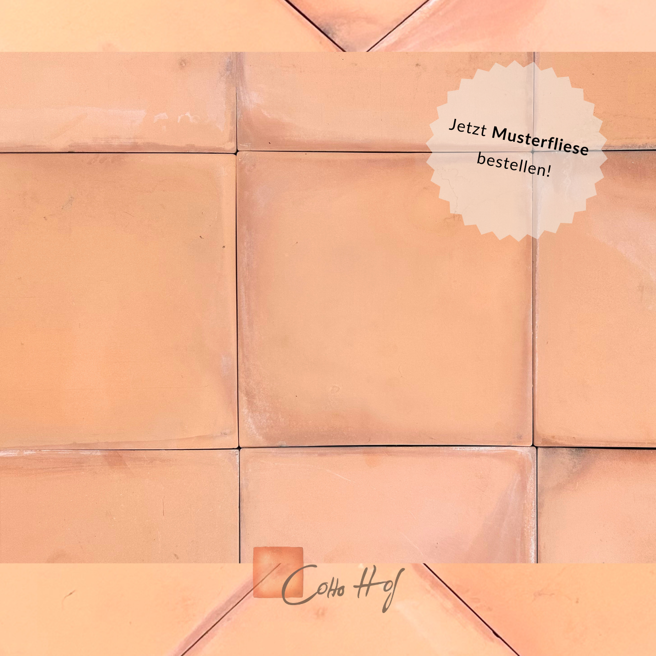 Elda Mecanica Salmon
