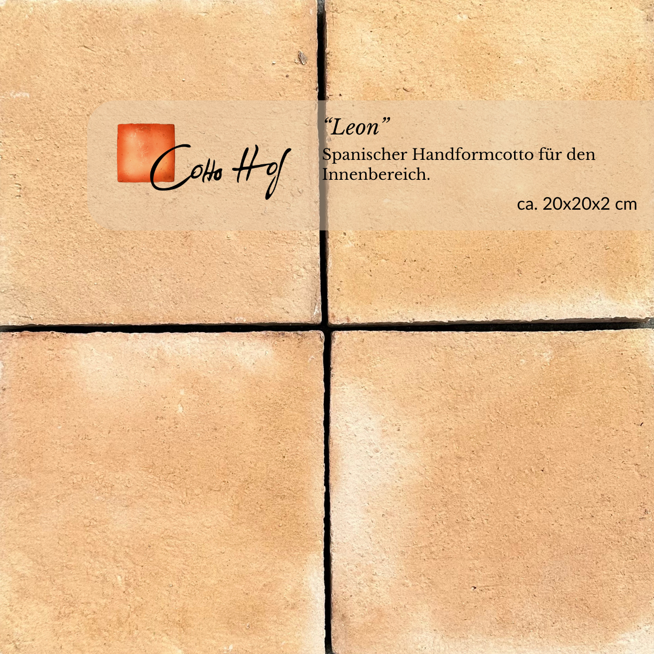 Leon 20x20 cm