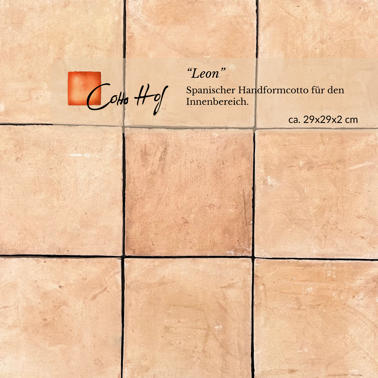 Leon 29x29 cm