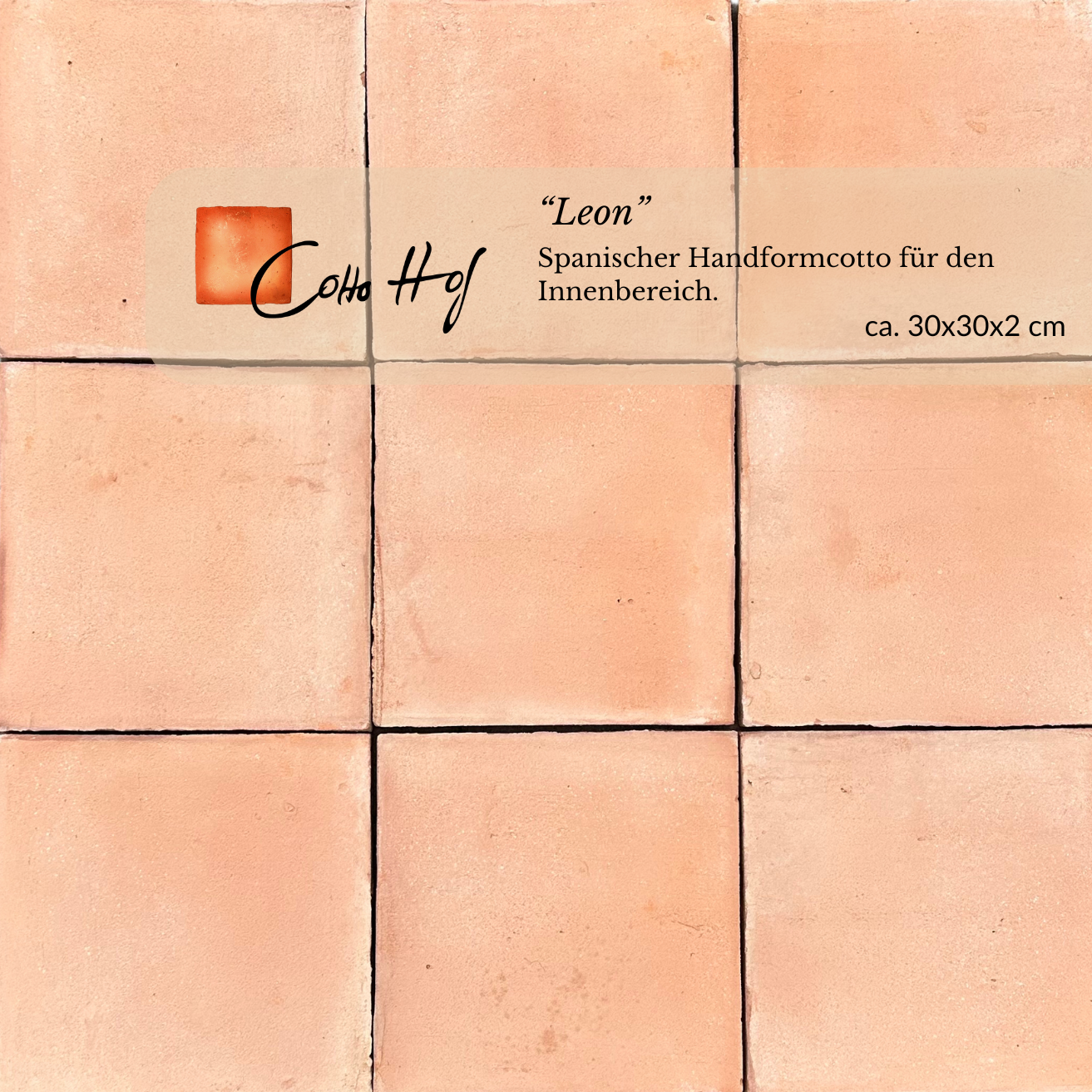 Leon Salmon 30x30 cm