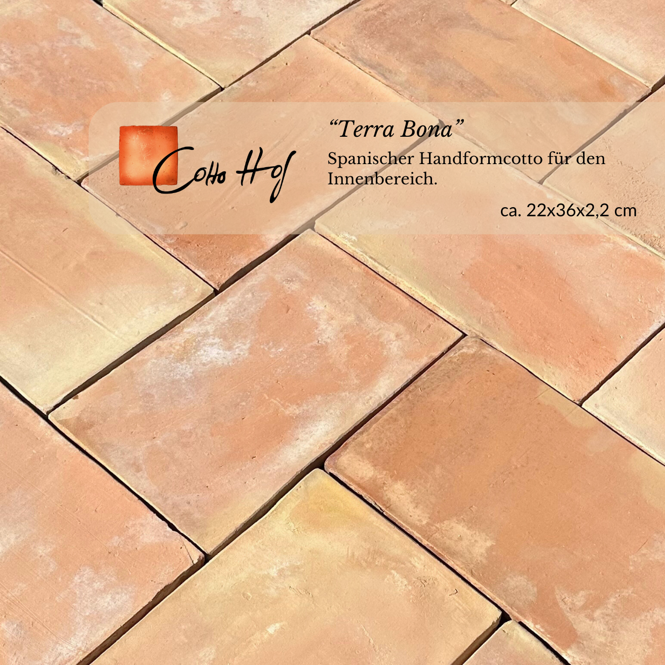 Terra Bona 22x36