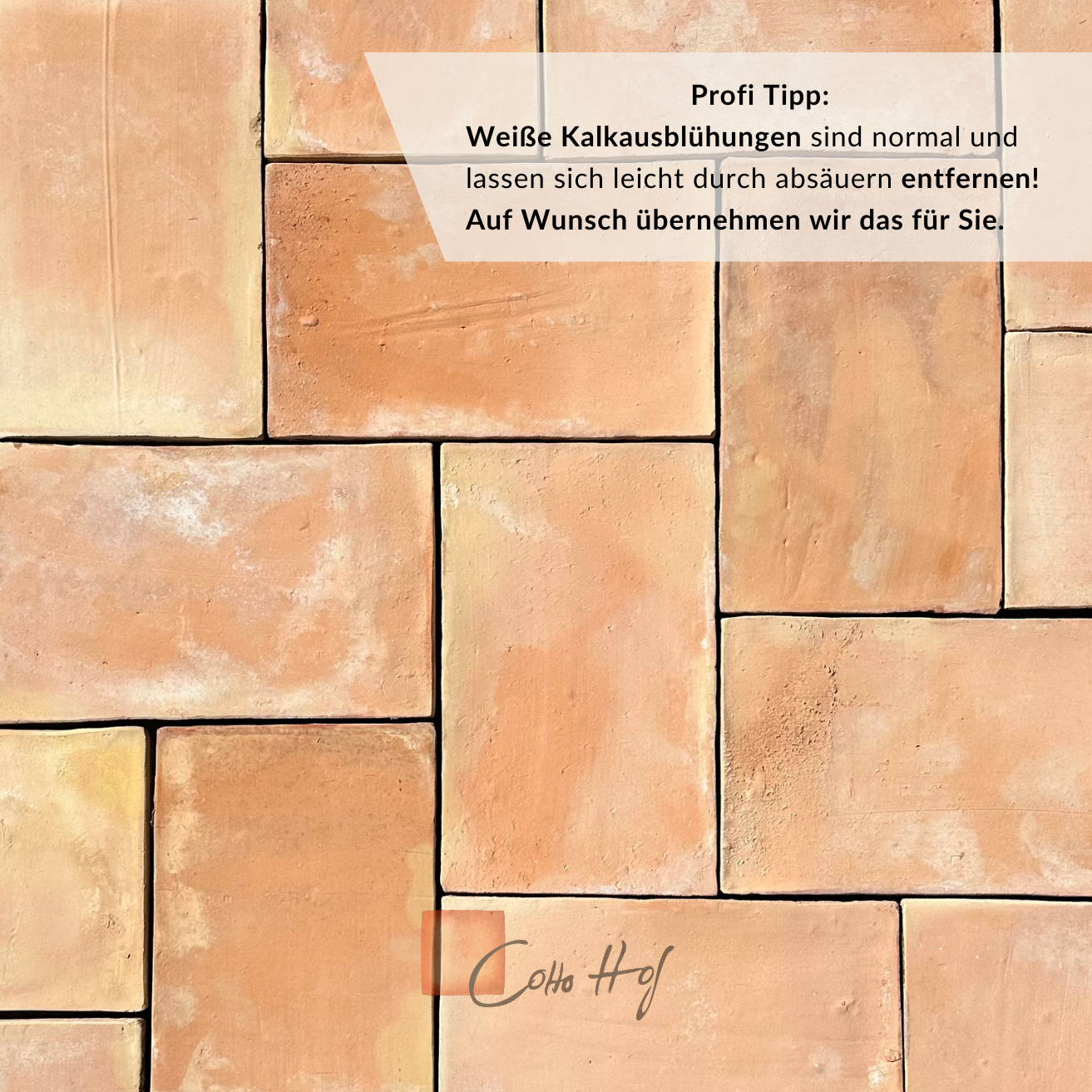 Terra Bona 22x36