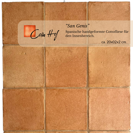 San Genis 20x20 cm